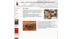 Desktop Screenshot of callistus.de